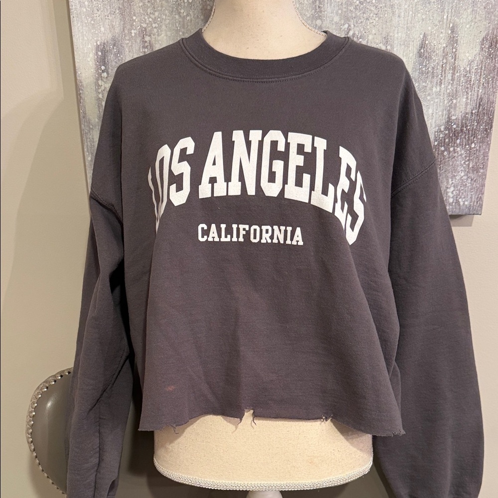 Los Angeles California Gray Sweatshirt